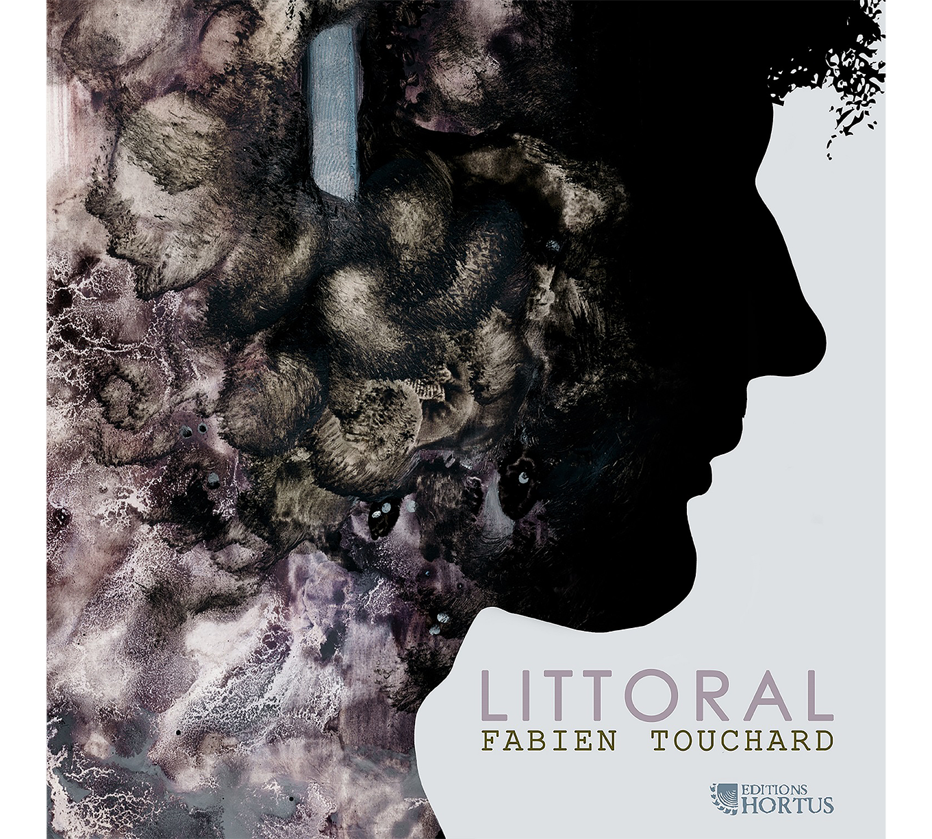Fabien Touchard : Littoral